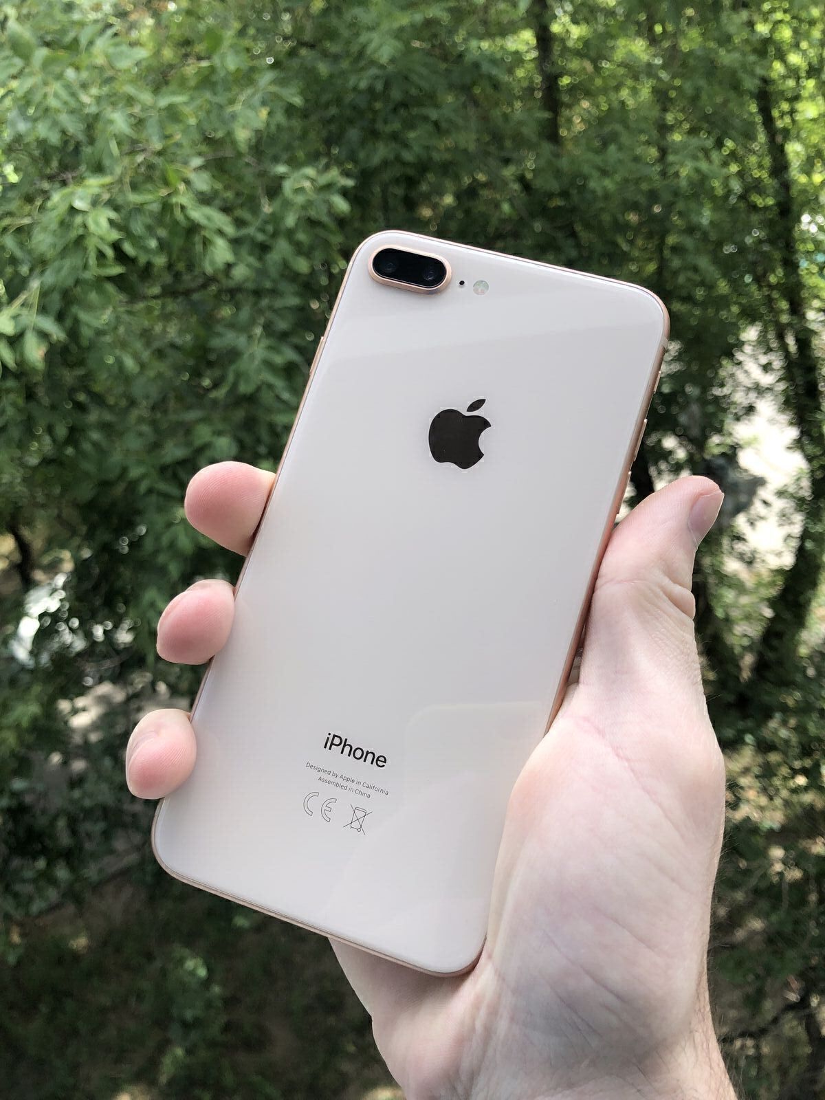 iPhone 8 plus 64 Gb Neverlock / Айфон 8 плюс / iPhone 8 +