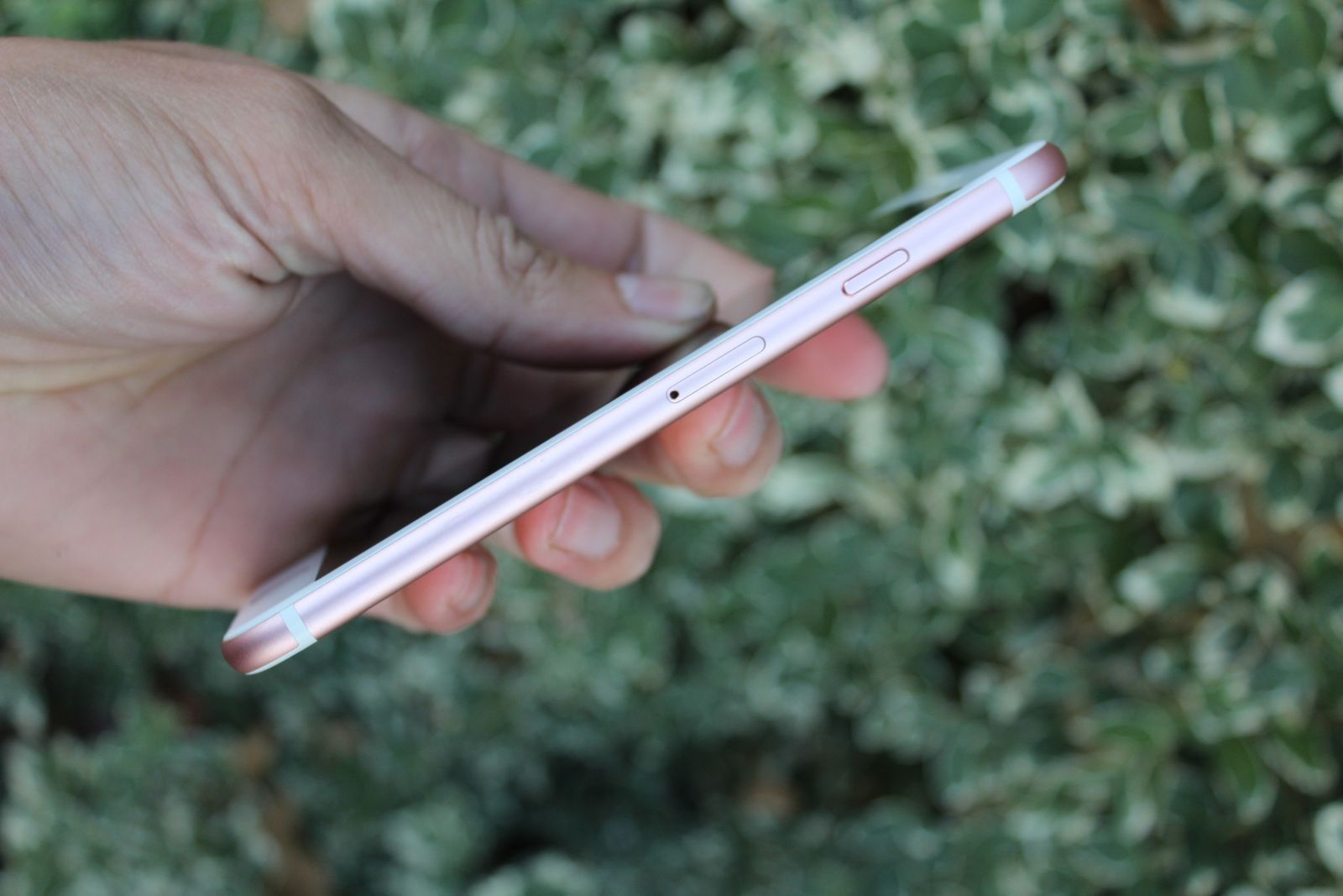 iPhone 6S 32Gb Rose Neverlock 