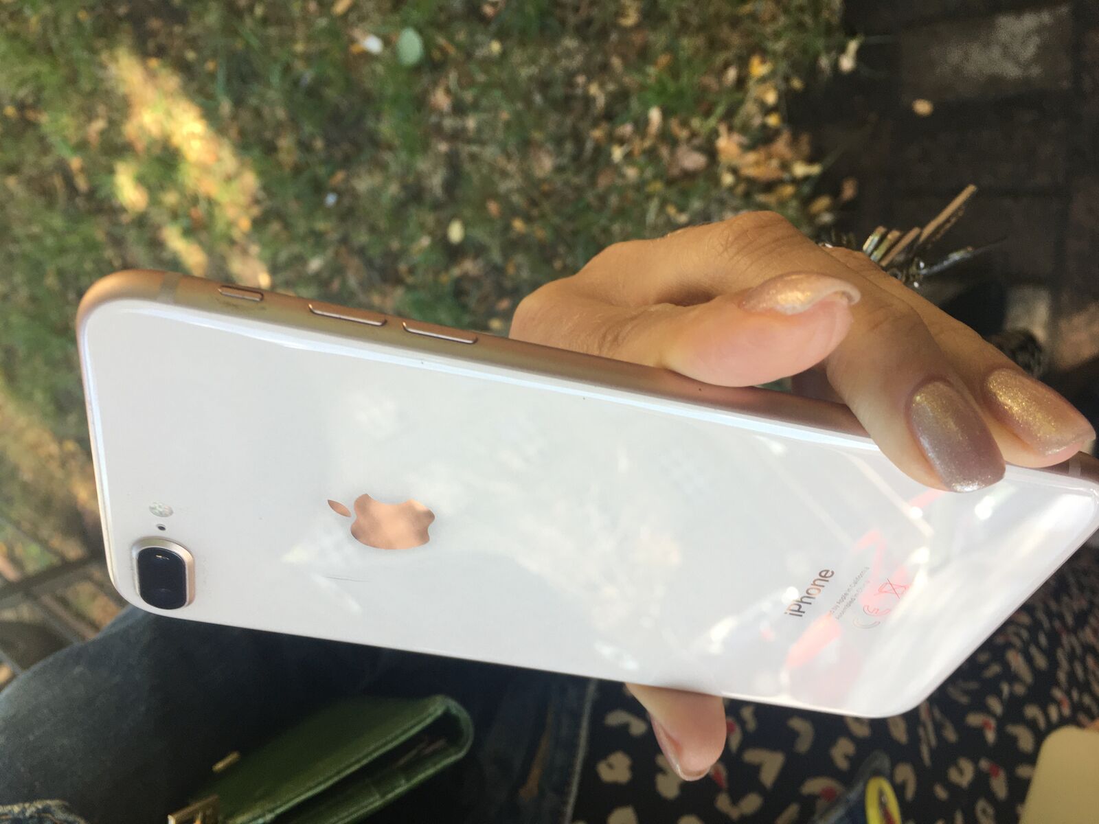 iPhone-8-Plus